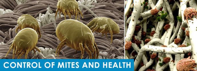 Control of Mites And Health
