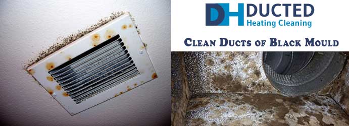 Clean Ducts of Black Mould