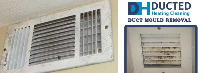 Duct Mould Removal